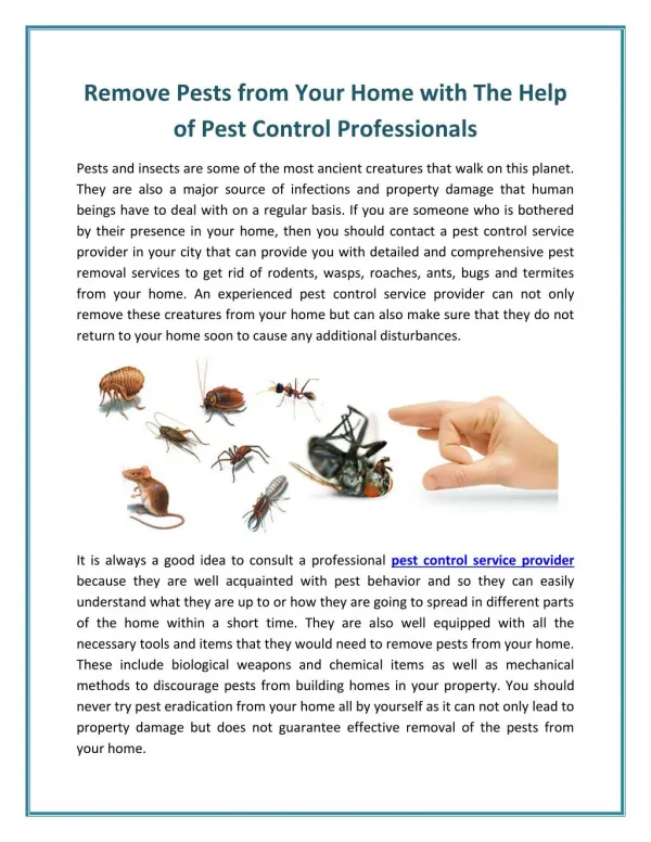 Pest Control in Surat - The Gateway To Protect Your Home and Your Health