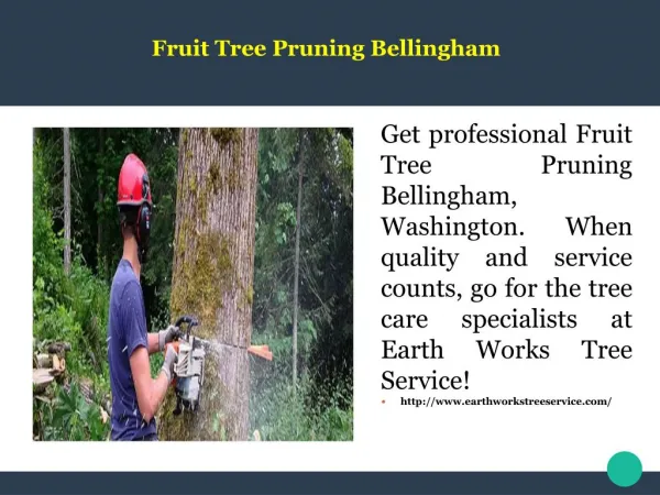 Fruit Tree Pruning Bellingham