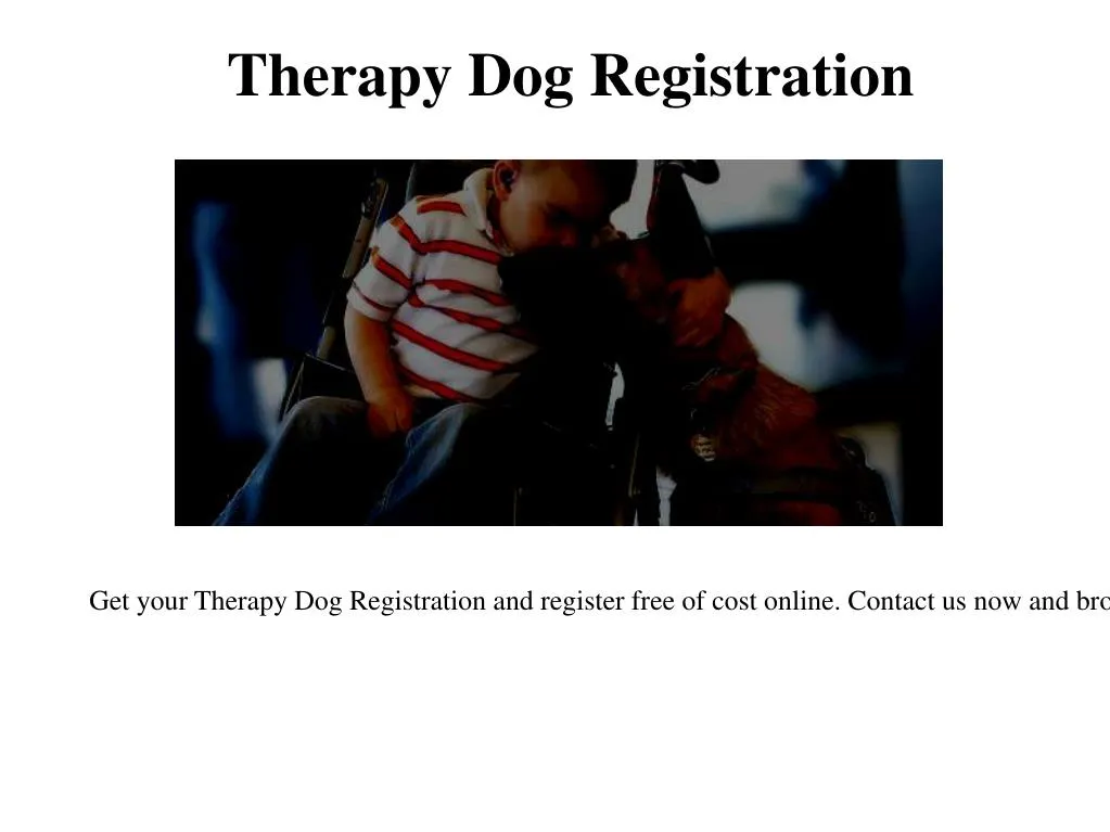 therapy dog registration