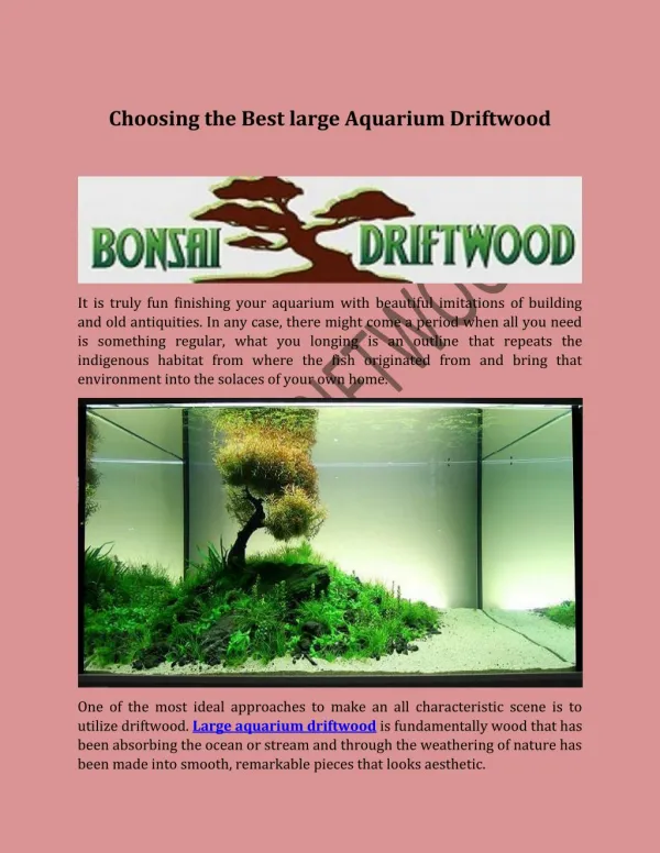 Choosing the Best large Aquarium Driftwood