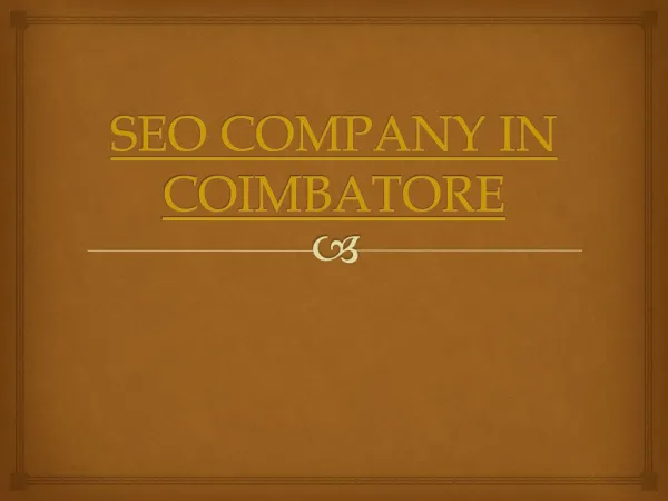 SEO Company Offer Wide Support to New Comers in Business