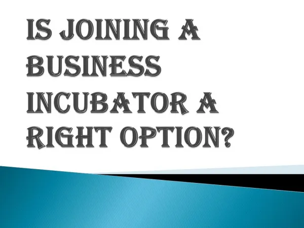 Is Joining a Business Incubator a Right Decision?