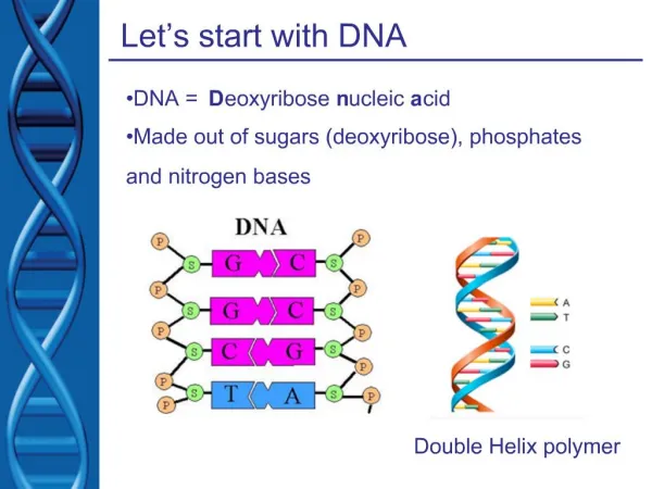 Let s start with DNA