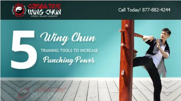 5 Wing Chun Training Tools Increase Punching Power