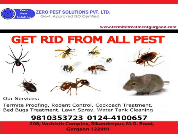 Best pest control services in Gurgaon with 10% special discount offers. Call at 9810353723.