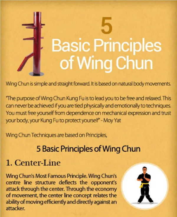 5 Basic Principles of Wing Chun