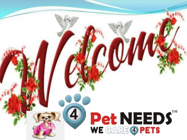 Buy Online Dog Grooming Product-4PetNeeds