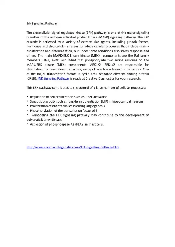 Erk Signaling Pathway