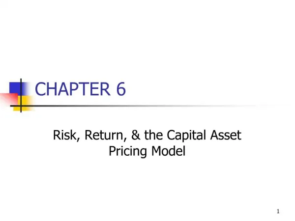 Risk, Return, the Capital Asset Pricing Model