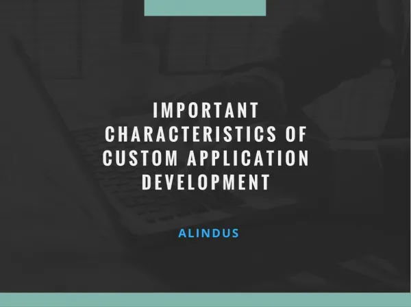 Important Characteristics of Custom Application Development
