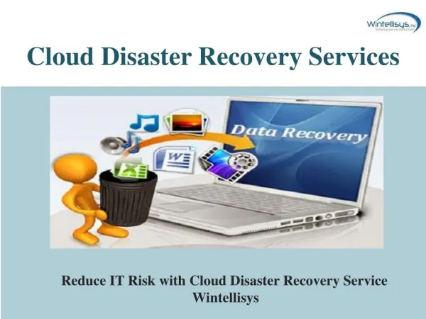 Cloud Disaster Recovery Services-Wintellisys