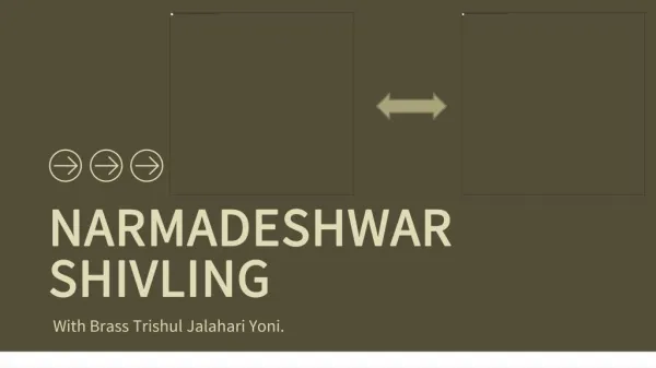 Importance of Narmadeshwar Shivling With Brass Trishul Jalahari Yoni