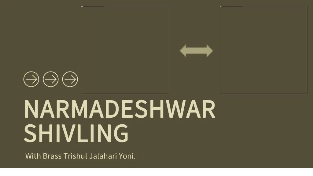 narmadeshwar shivling