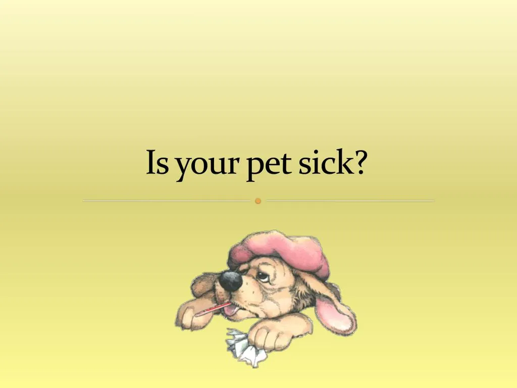 i s your pet sick