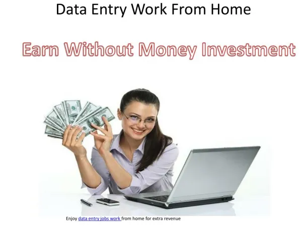 Online Data Entry Job Work From Home without Investment