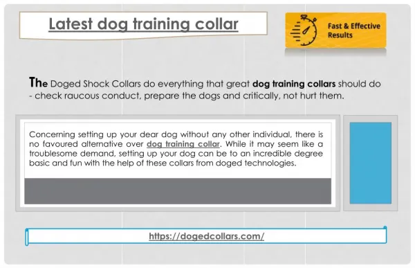 Latest dog training collar