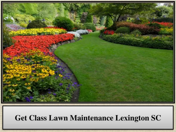 Get Class Lawn Maintenance Lexington SC
