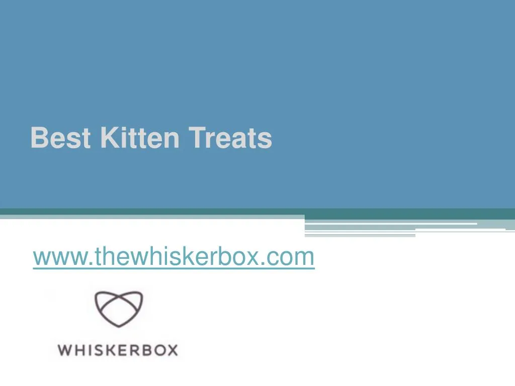 best kitten treats