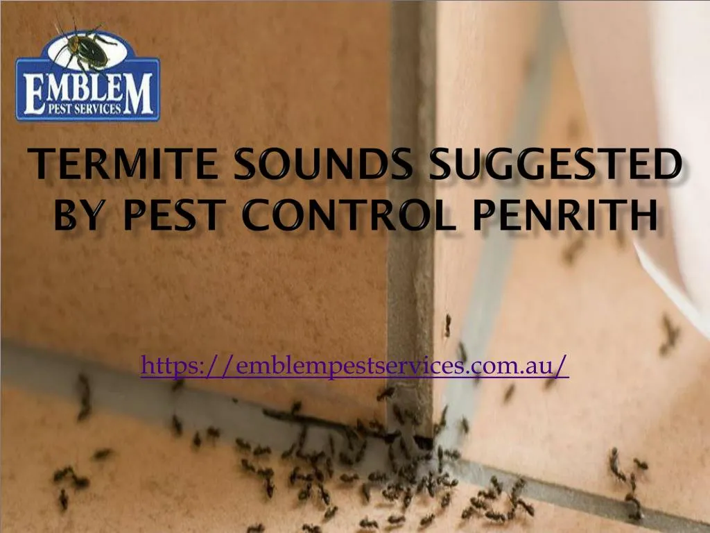termite sounds suggested by pest control penrith
