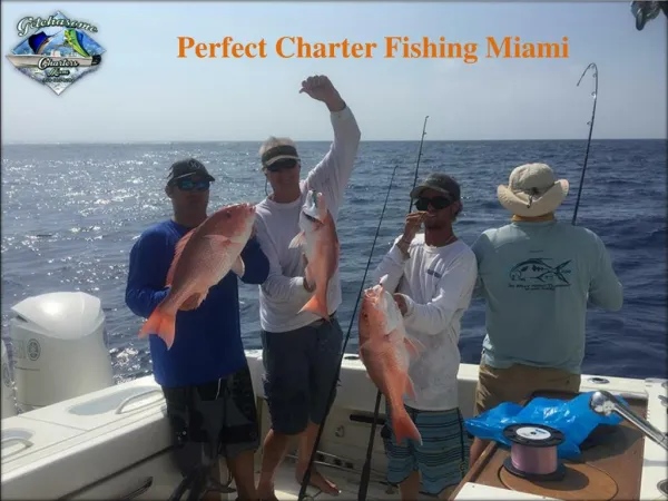 Perfect Charter Fishing Miami