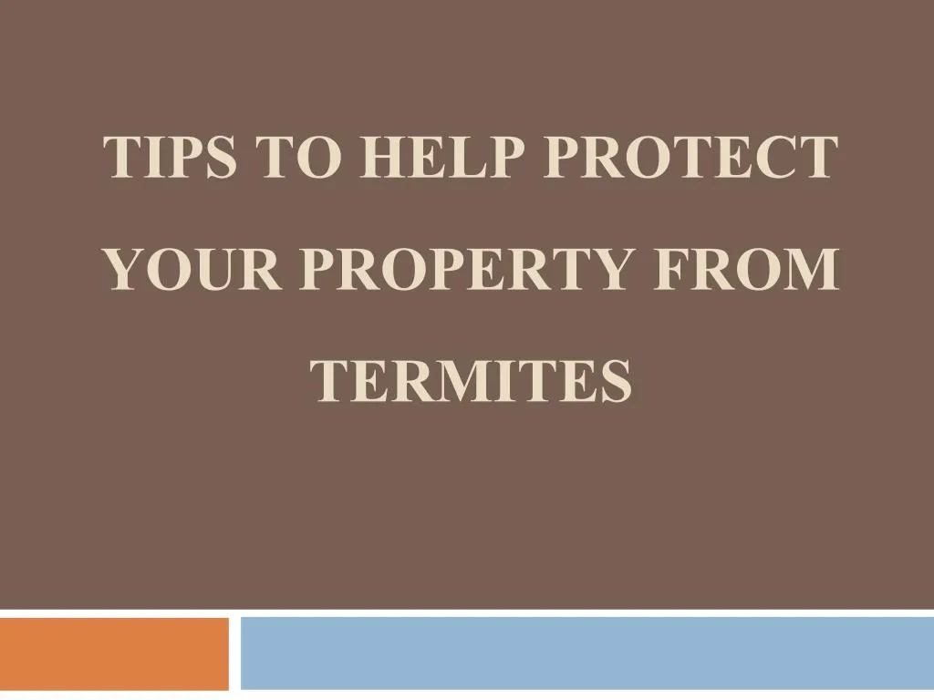 tips to help protect your property from termites