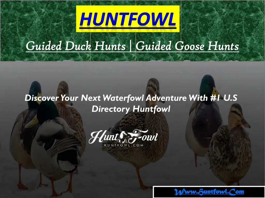 discover your next waterfowl adventure with 1 u s directory huntfowl