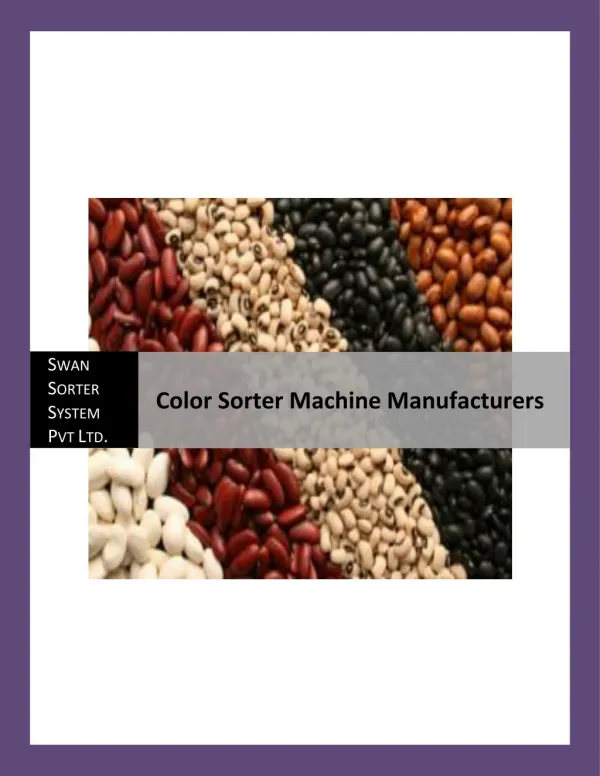 Color Sorter Machine Manufacturers