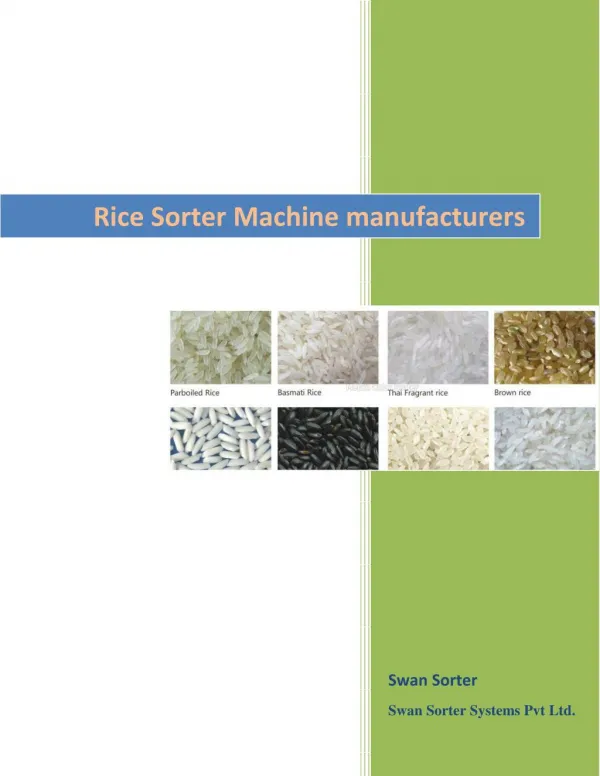 Rice Sorter Machine manufacturers