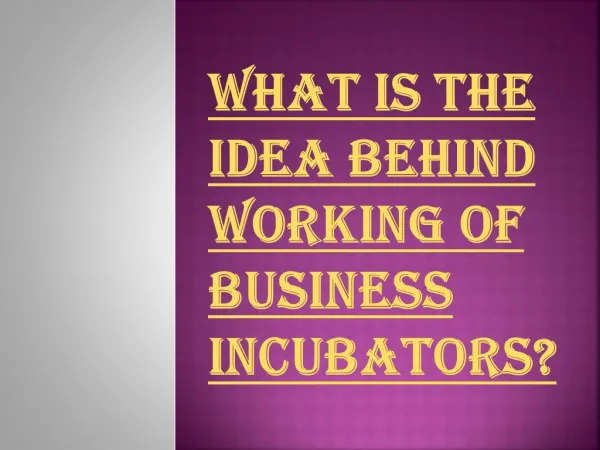 Idea's behind Working of Business Incubators
