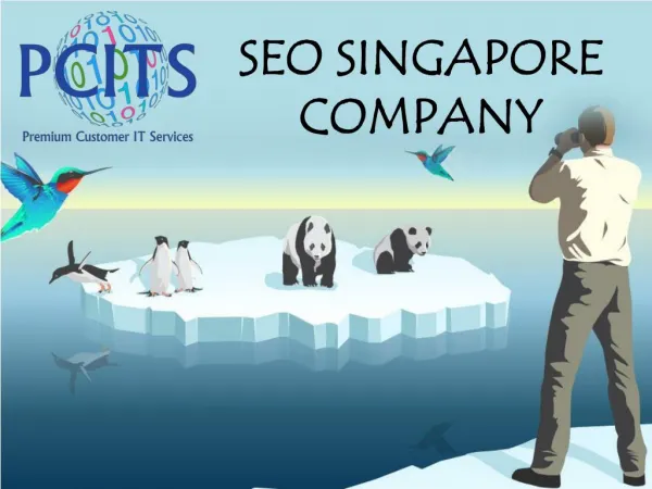 SEO Singapore: Web Development Company