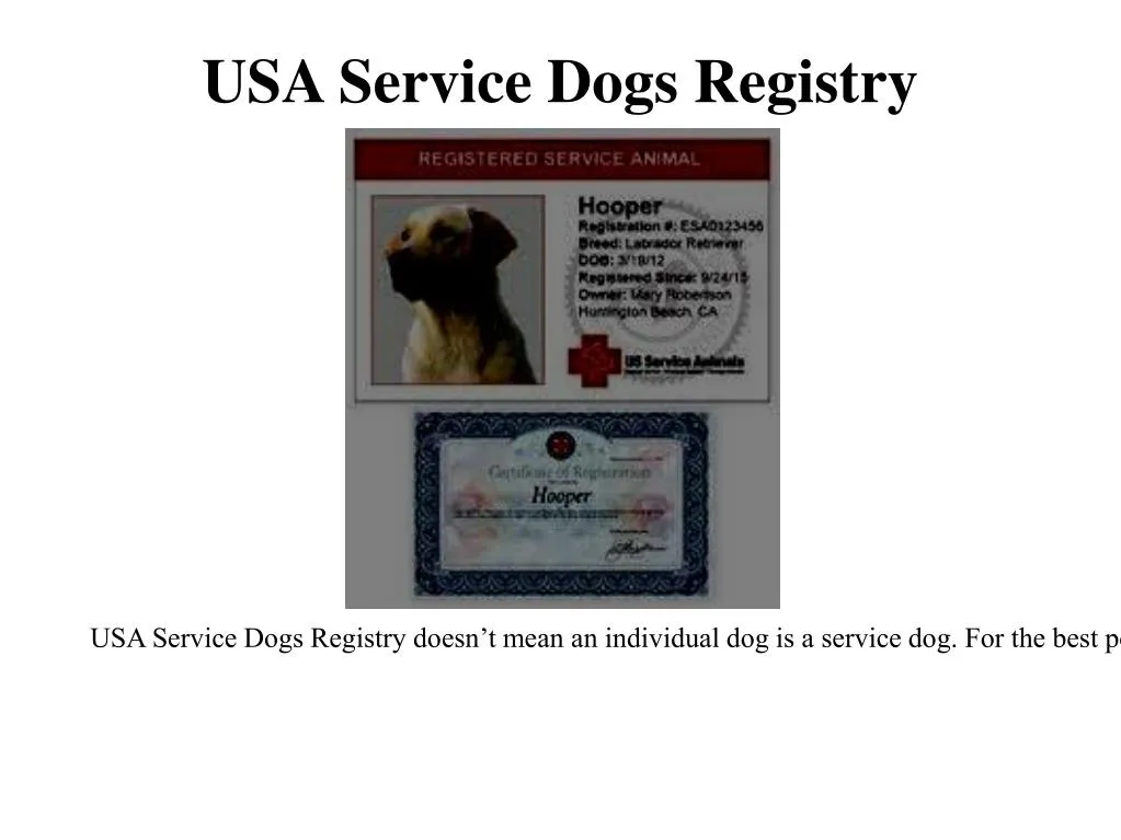 usa service dogs registry