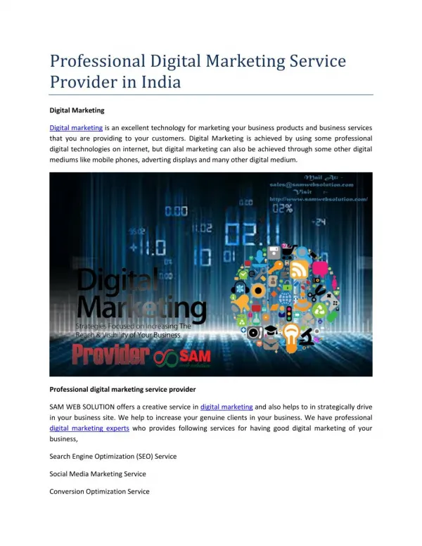 Professional Digital Marketing Service Provider in India