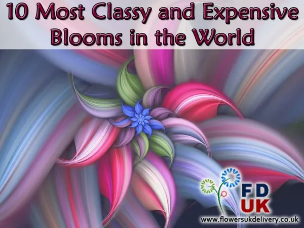 10 Most Classy and Expensive Blooms in the World
