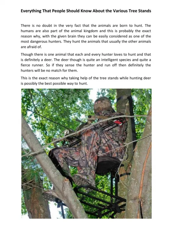 Everything That People Should Know About the Various Tree Stands