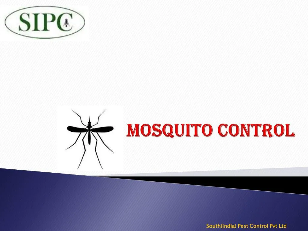 mosquito control