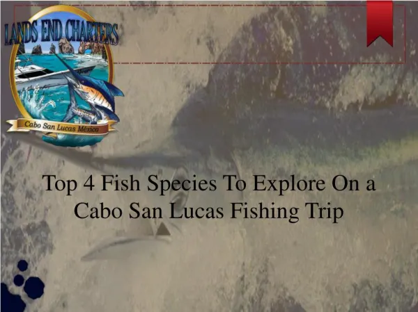 Cabo San Lucas Fishing Trip