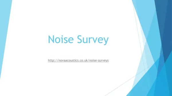Noise Survey