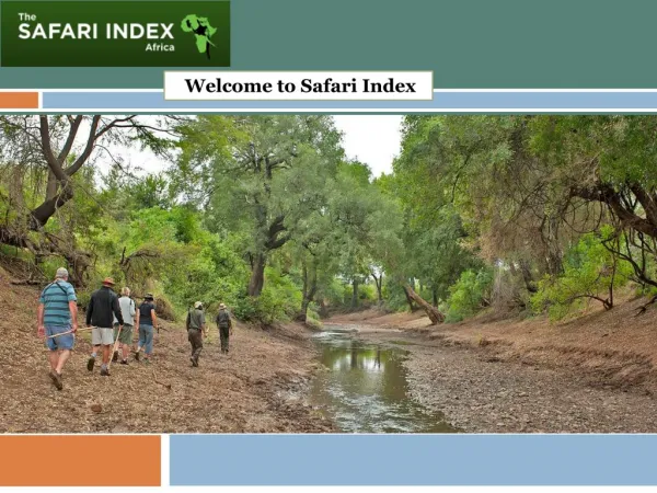 Welcome to Safari Index