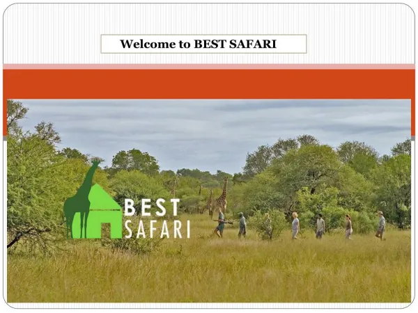 Welcome to BEST SAFARI