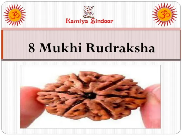 Certified Eight Mukhi Rudraksha