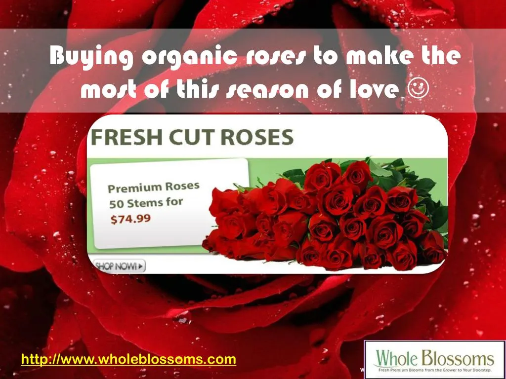buying organic roses to make the most of this season of love