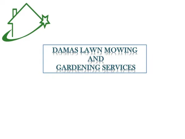 Find Reliable & Affordable Gardening Services in Marsfield