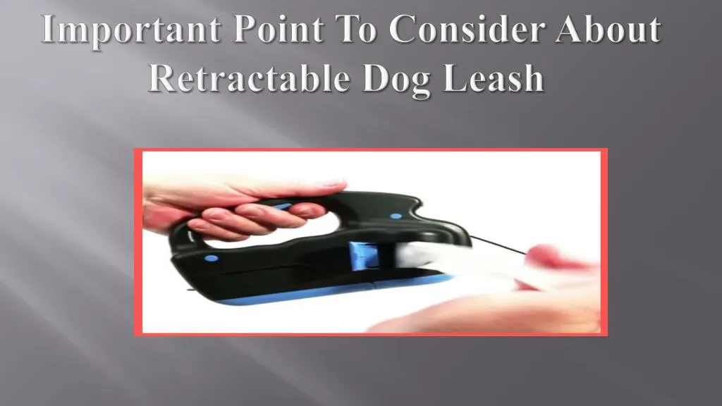 important point to consider about retractable dog leash