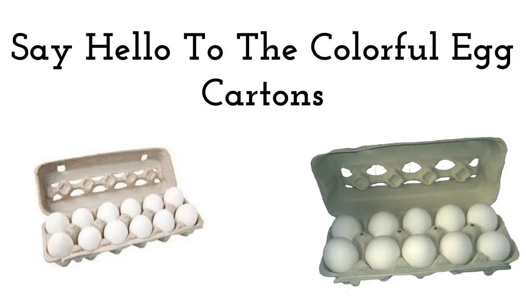 say hello to the colorful egg cartons