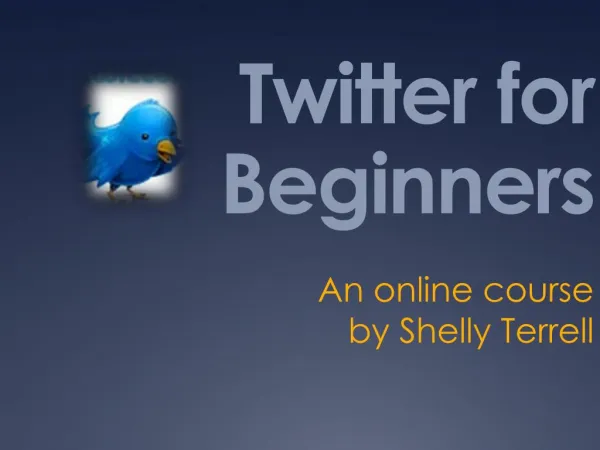Twitter 4 Beginners Shorter Version