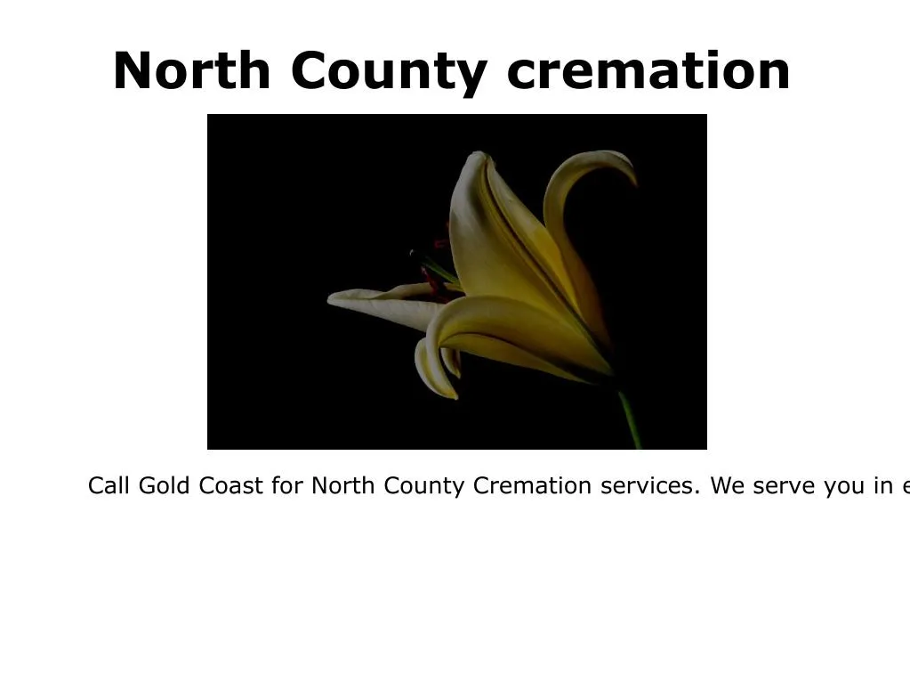 north county cremation