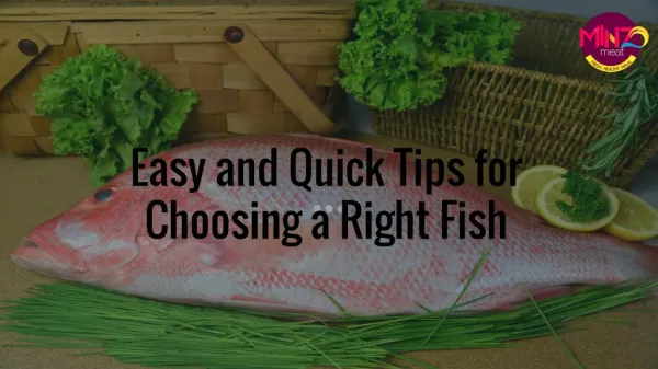 Easy and Quick Tips for Choosing a Right Fish