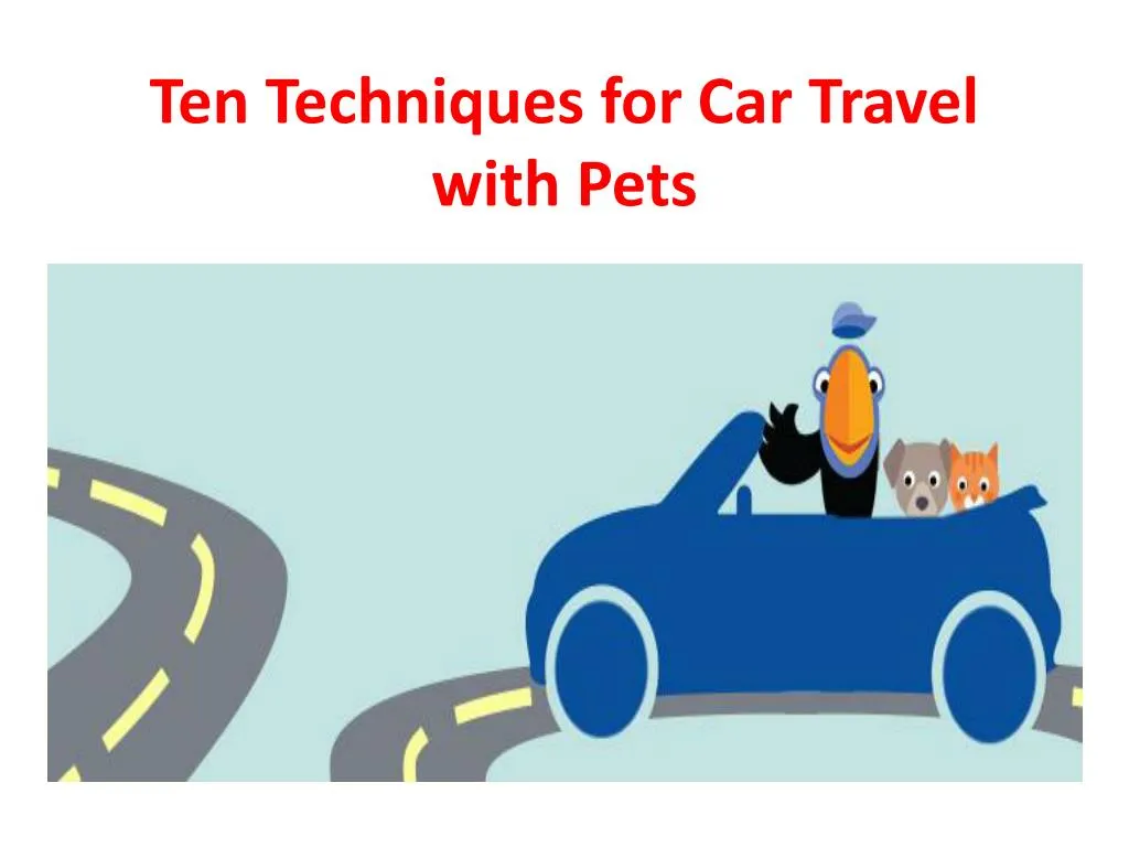 ten techniques for car travel with pets