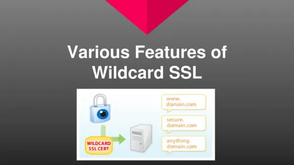 Various Features of Wildcard SSL