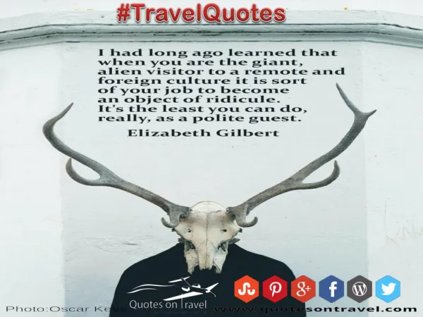 Funny Travel Quotes And Sayings by Elizabeth Gilbert - QuotesOnTravel.com